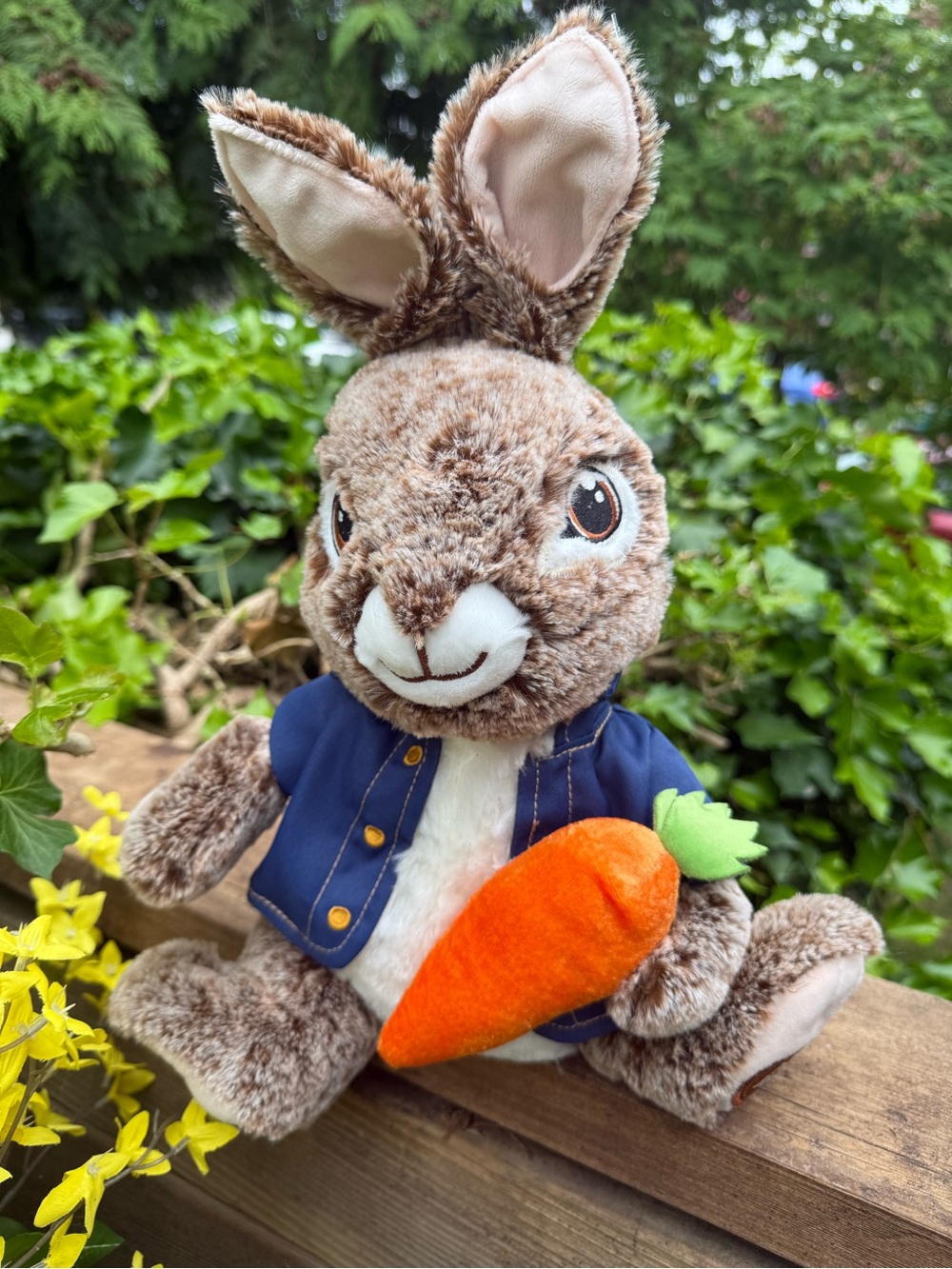 MOVIE 🎥 PETER RABBIT x Beatrix Potter 17” stuffie. Collectors